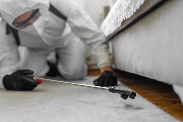 Professional Bed Bug Control technician working in Parsons, KS