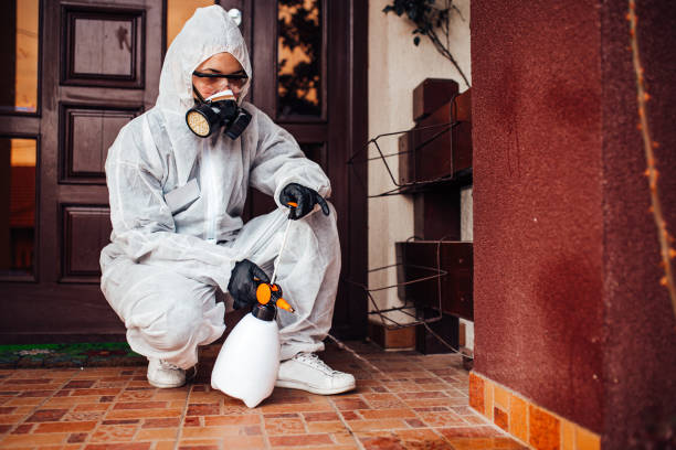 Reliable Bed Bug Control contractor in Parsons, KS by Nex Pest Control
